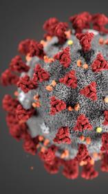 Serie_OorsprongCorona