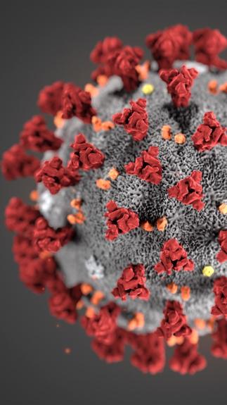 Serie_OorsprongCorona