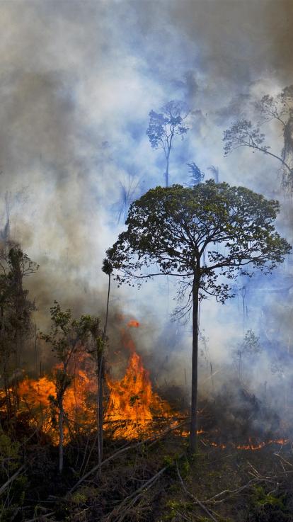 Volgendepandemie_statement