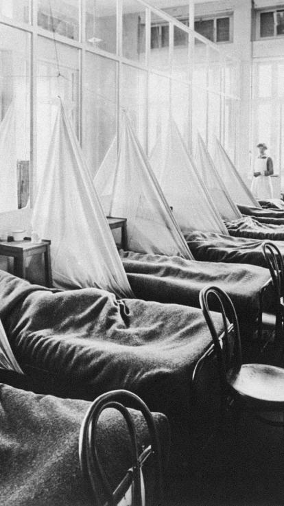 Spaanse griep treft groot deel van de bevolking