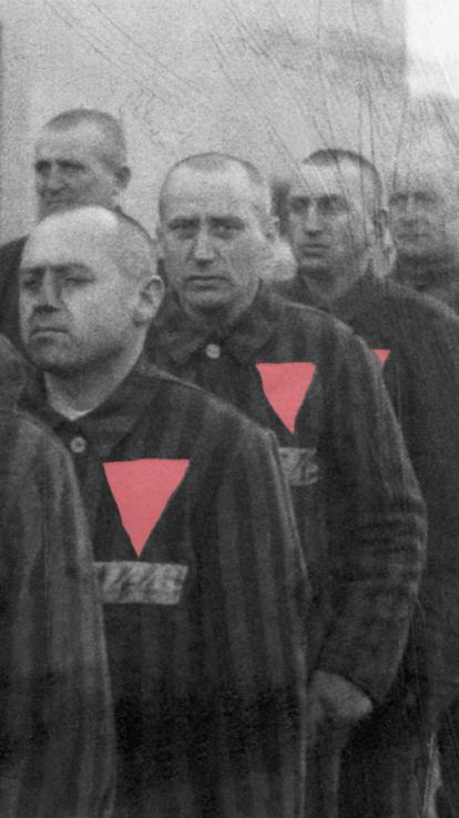 4_Regenboogvlag_roze driehoek