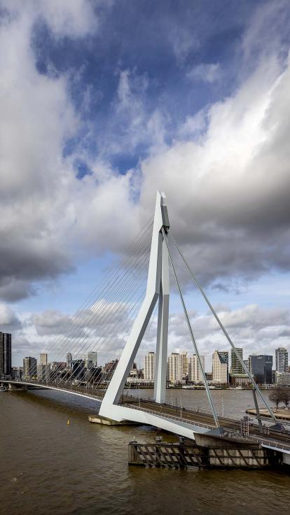 Rotterdamse Erasmusbrug
