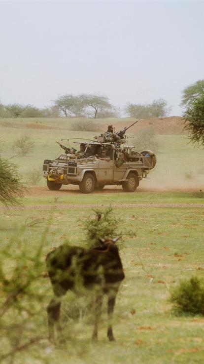 Het Nederlandse leger in Mali