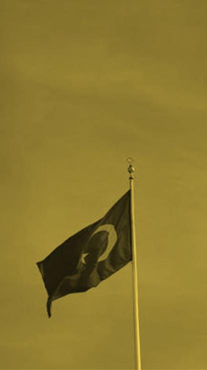 Turkse vlag