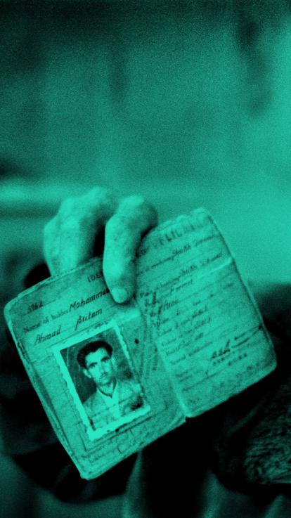 4_palestina_vlucht_groen