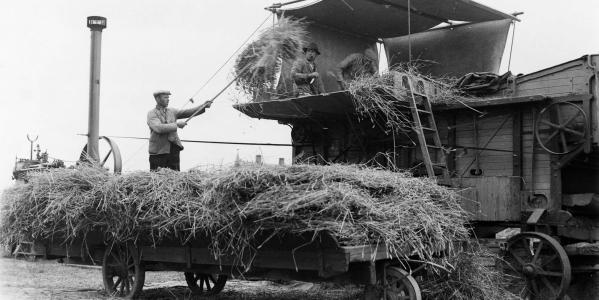 Maand van de Geschiedenis: Aan het werk