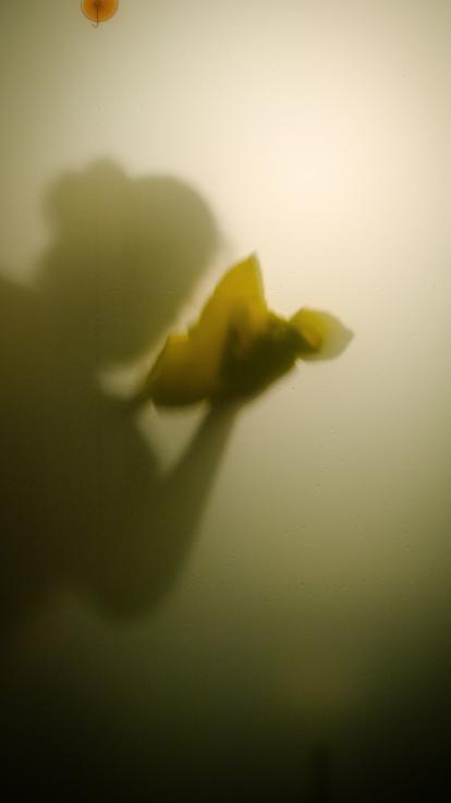 een vrouw die schoonmaakt 