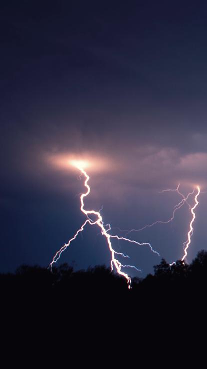 bliksem slaat in op een boom en veroorzaakt bosbrand