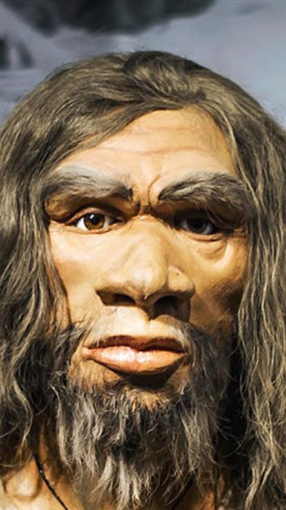 2_voorouders_miljoen_jaar_geleden