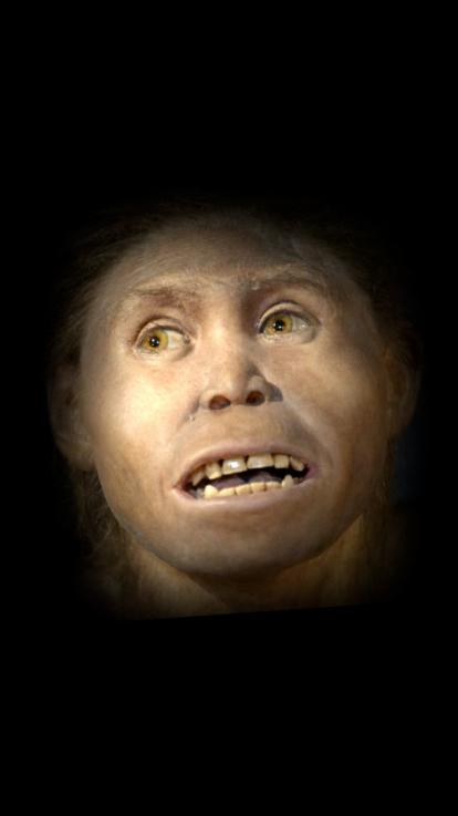 11_homo_erectus_uitgestorven