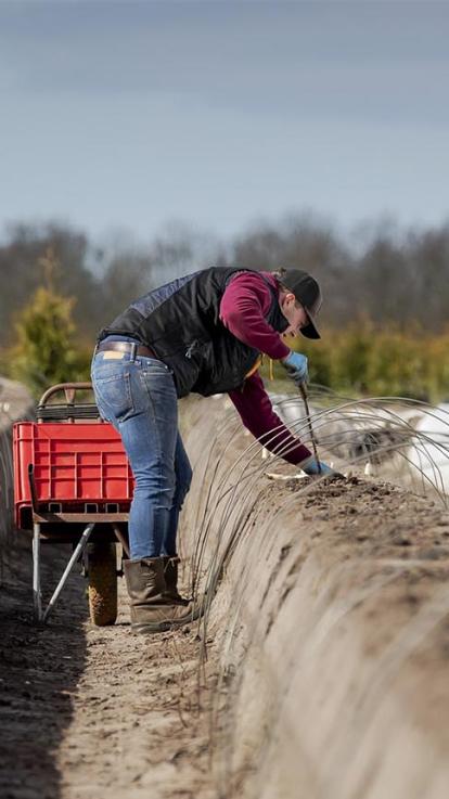 werknemer in de tuinbouw