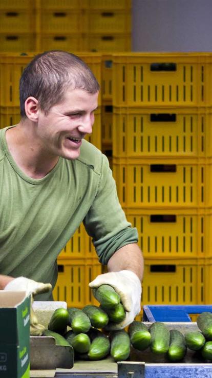 Buitenlandse werknemers in de tuinbouw