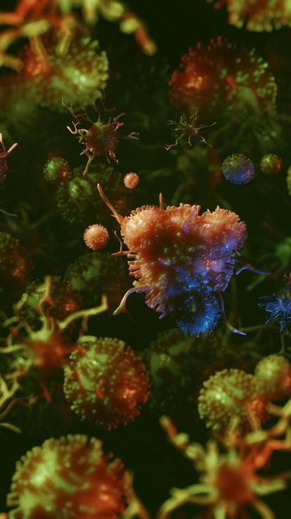 verkoudheid_virussen