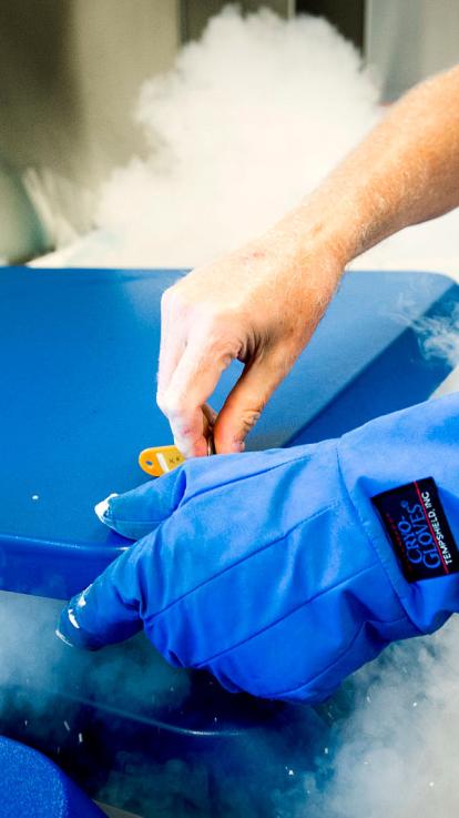 Handen openen een box met ingevroren eicellen