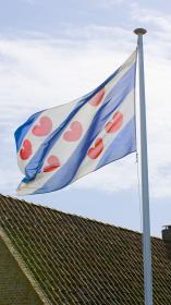 De vlag van Friesland