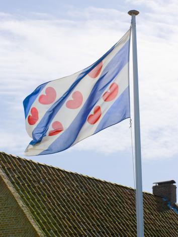De vlag van Friesland