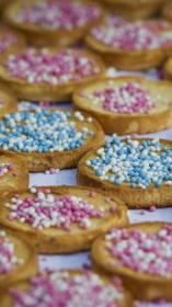 bevallingen_serieheader