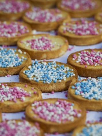 bevallingen_serieheader