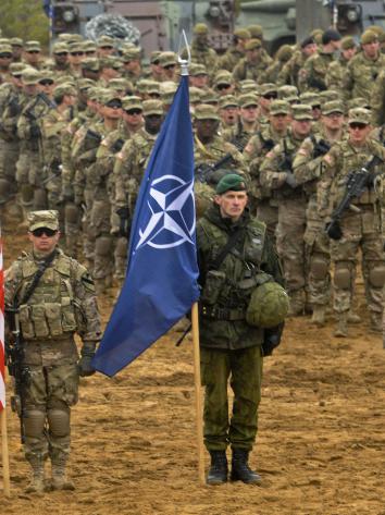 navo militairen met vlaggen