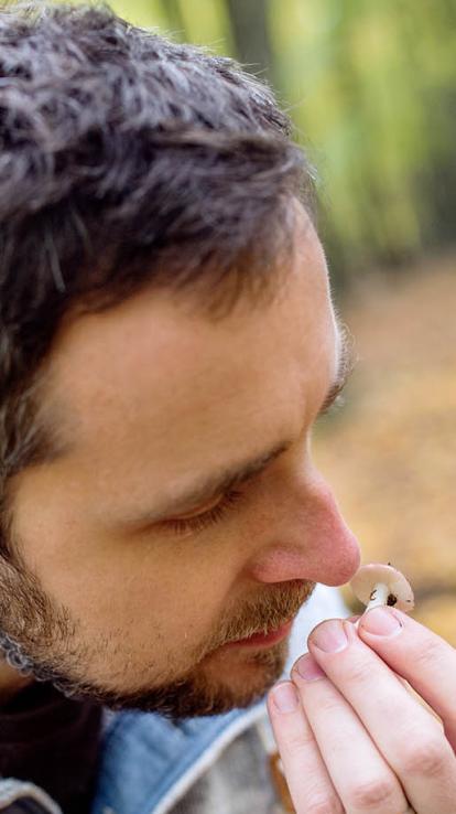 een man ruikt aan een paddenstoel in het bos