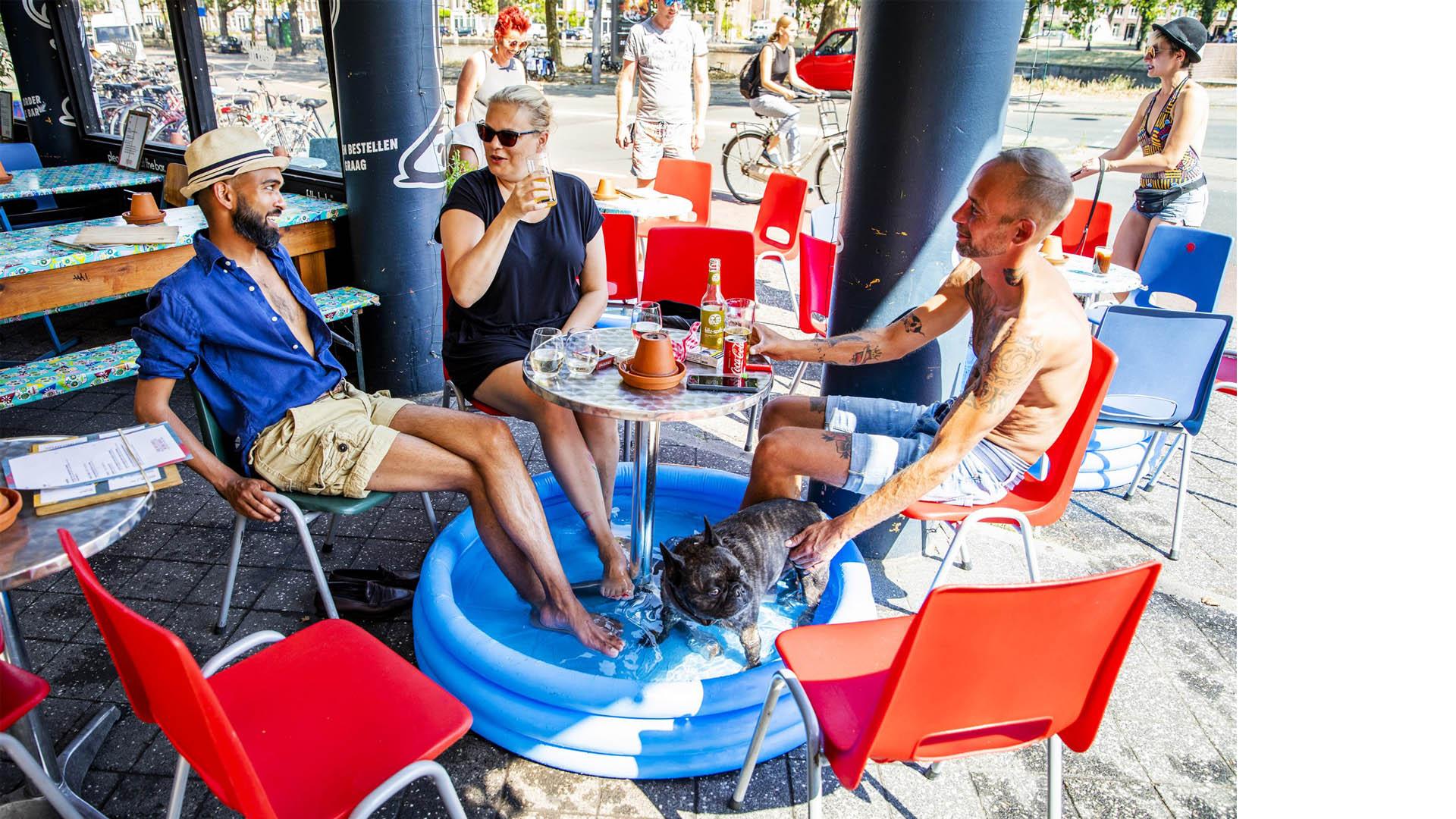 Zomerse ongemakken