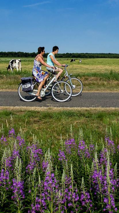 fiets