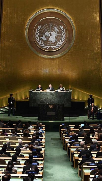 de Algemene Vergadering van de Verenigde Naties