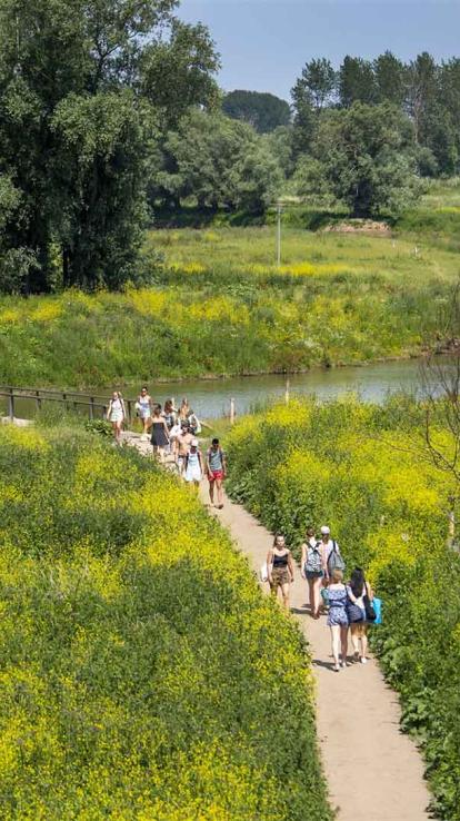 genieten van de vrije dag met het pinksterweekend