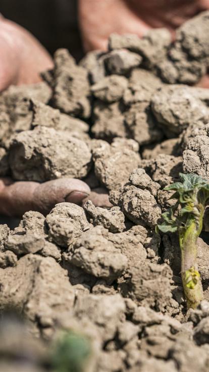 grond breek door de enorme droogte