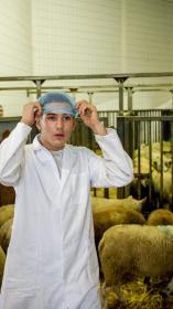 Offerfeest , Ritueel slachten 