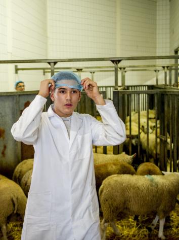 Offerfeest , Ritueel slachten 