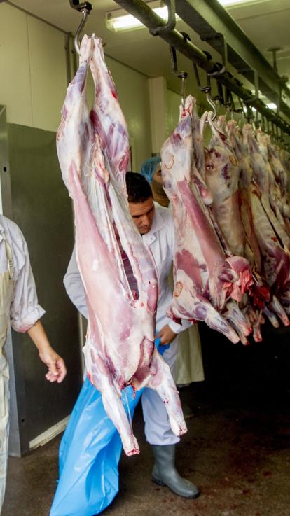 Offerfeest , Ritueel slachten , Islamitische feesten, Onbedwelmed slachten, Eid al-Adha 