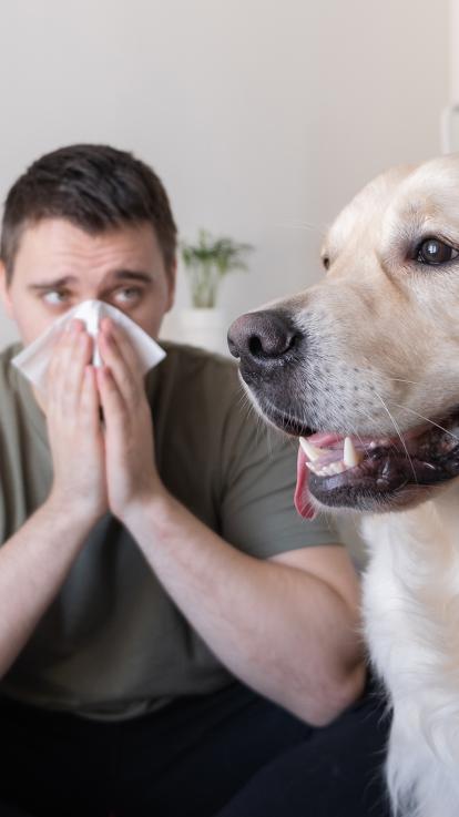 iemand snuit omdat ie allergisch is voor honden