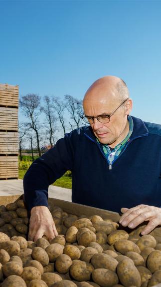 1_eerlijkeprijs_veld2