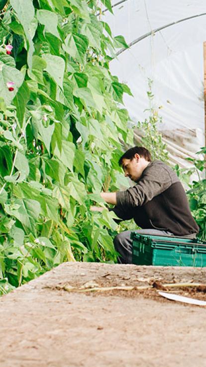  6_moderneslavernij_kassen