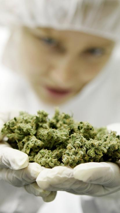 close up van medicinale cannabis