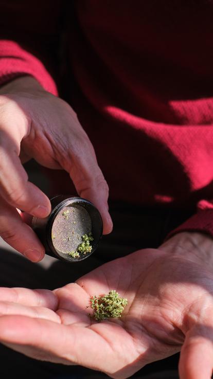 potje met medicinale cannabis