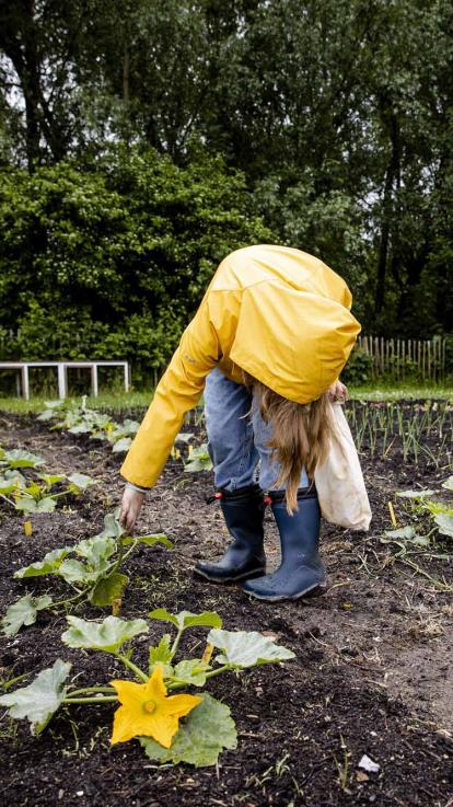 kinderen leren over de inhoud en waterstand van de rivieren