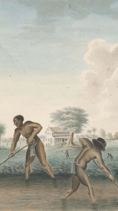 tot slaaf gemaakten op een plantage