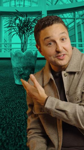 belasting ontduiken in nederland met een kamerplant