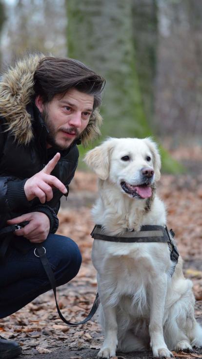 training van de hulphond