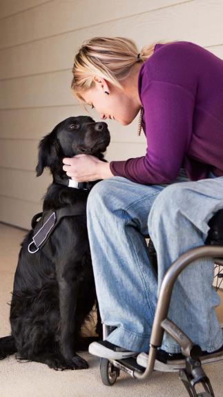 knuffelen met de hond