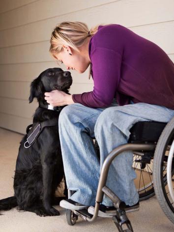 knuffelen met de hond