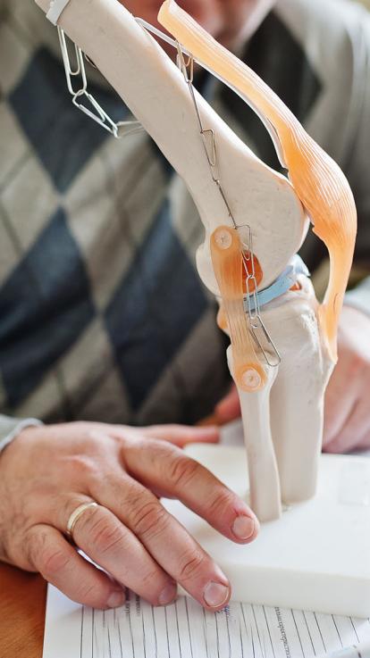 2 voorbeeld gewricht en hoe het euit ziet