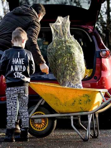 Mensen kopen een kerstboom. 