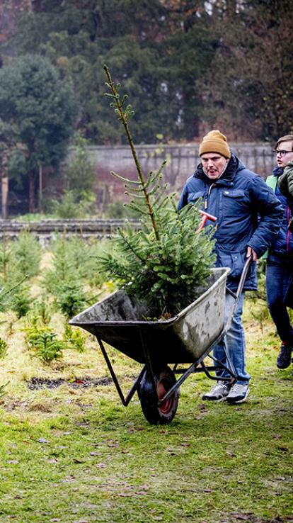 18_kerstboomboerderij_kersttradities