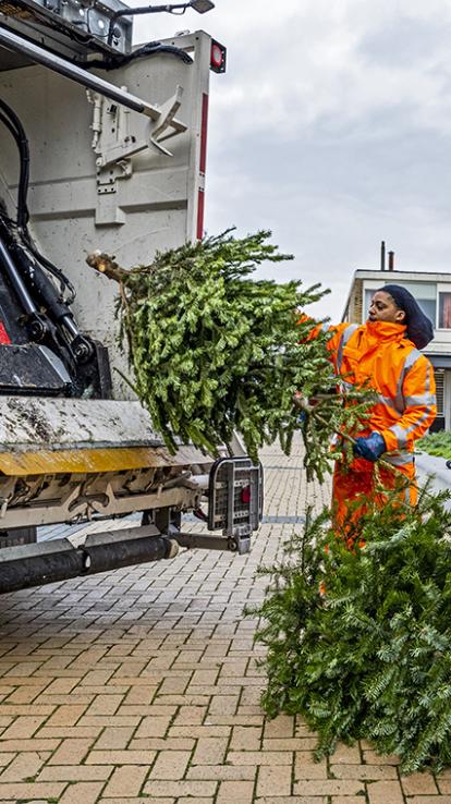 19_boomweg_kersttradities
