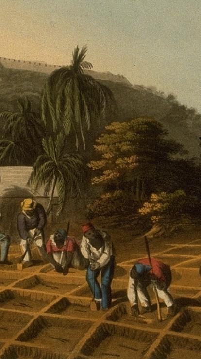 plantage waar tot slaaf gemaakte mensen werken