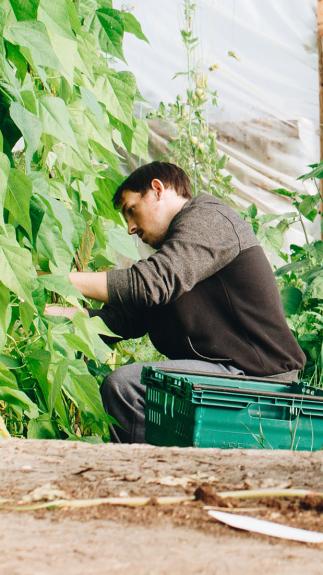 een arbeidsmigrant in de tuinbouw