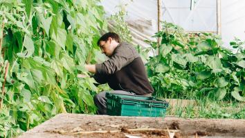 een arbeidsmigrant in de tuinbouw
